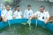 Dukung Ketahanan Pangan, Kepala LPKA Batam Panen Sayur Hidroponik